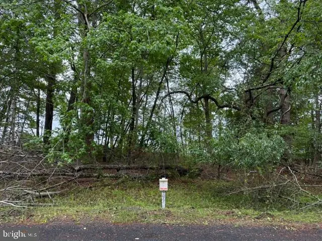 58 Neptune Dr, Greenbackville, VA 23356 - #1