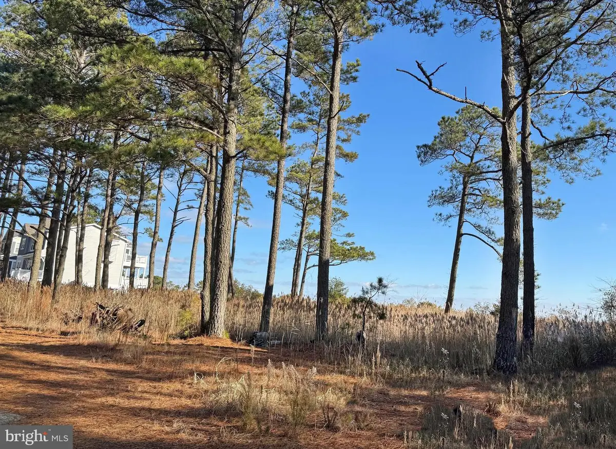 Lot 719 Castaway Dr, Greenbackville, VA 23356 - #1