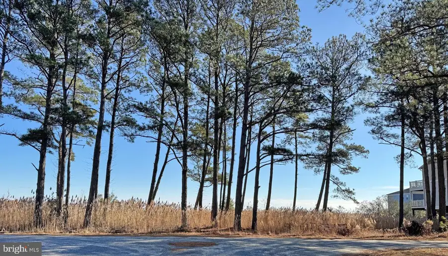 Lot 719 Castaway Dr, Greenbackville, VA 23356 - #3