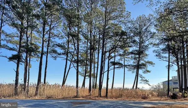 Lot 718 Castaway Dr, GREENBACKVILLE, VA 23356