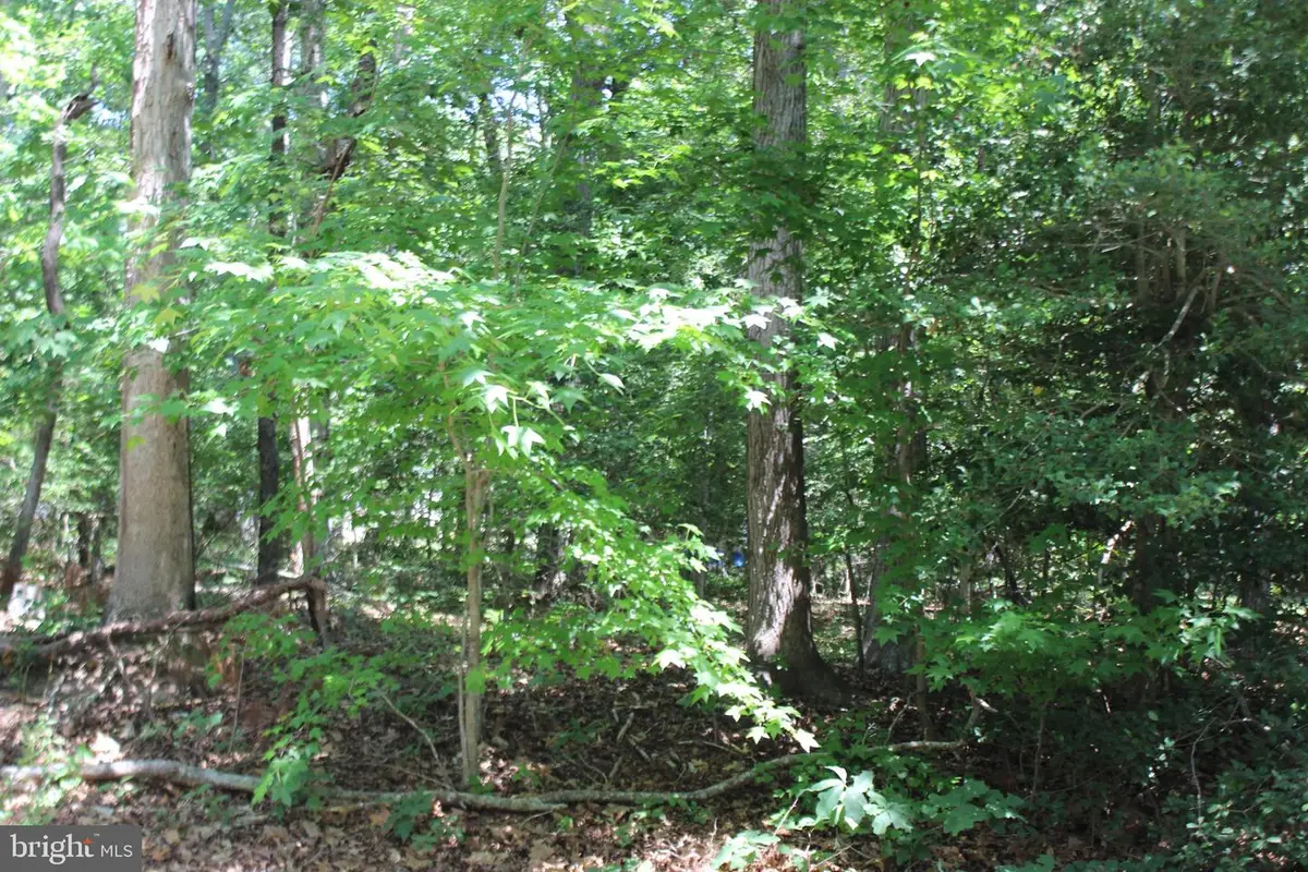 112 Custom Dr, Greenbackville, VA 23356 - #1