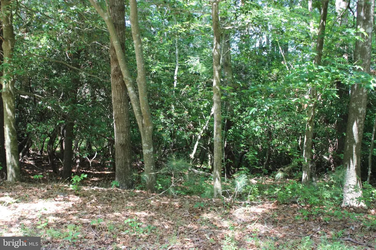 1950 Buccaneer Blvd, Greenbackville, VA 23356 - #1