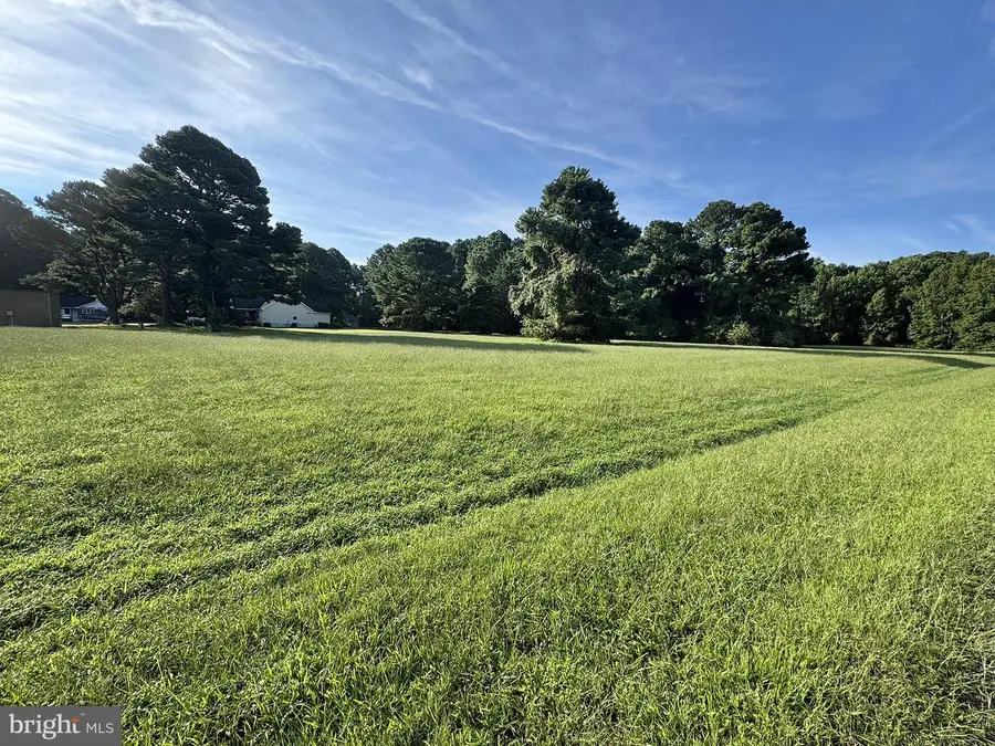 Lot 298 Underway Rd, Greenbackville, VA 23356 - #2