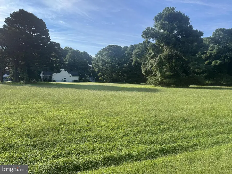 Lot 298 Underway Rd, Greenbackville, VA 23356 - #3