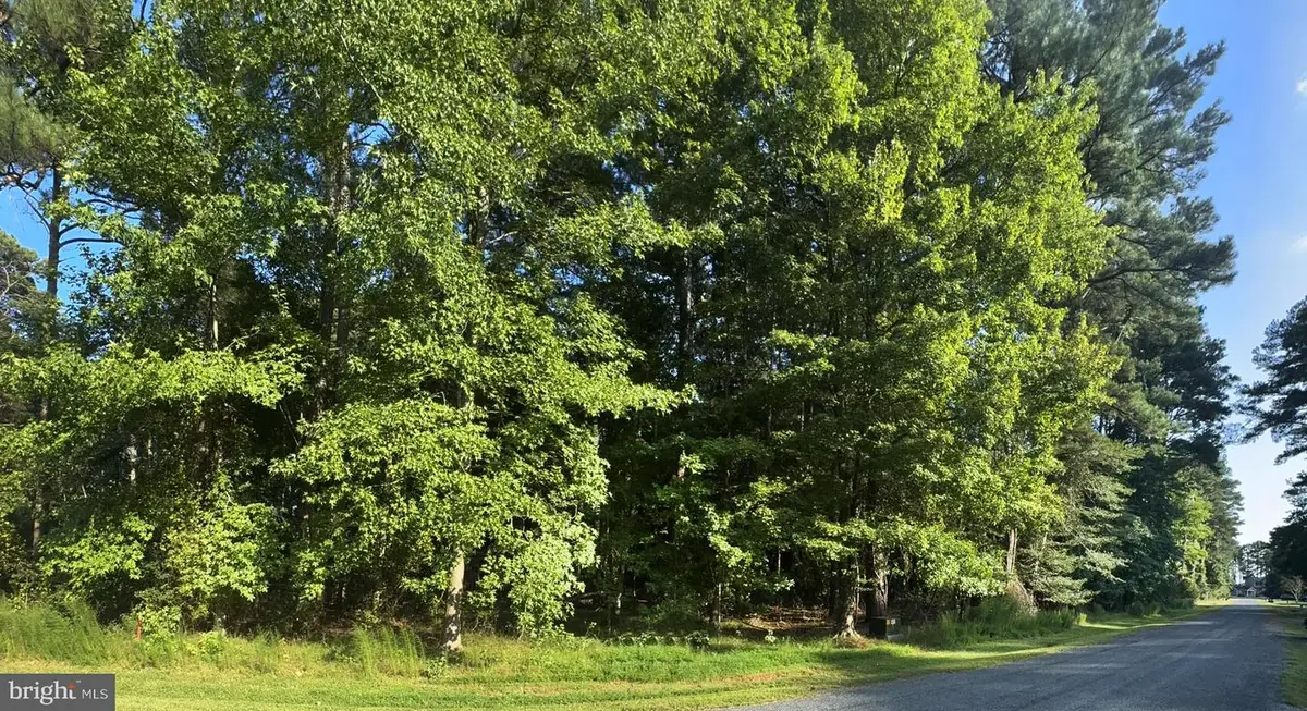 Lot 1076 Amidship Dr, Greenbackville, VA 23356 - #1