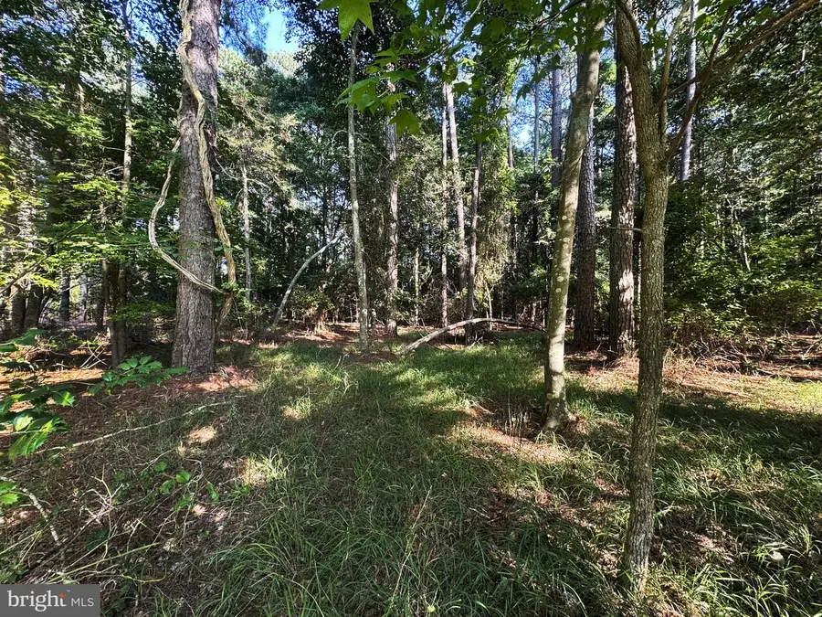 Lot 1076 Amidship Dr, Greenbackville, VA 23356 - #3