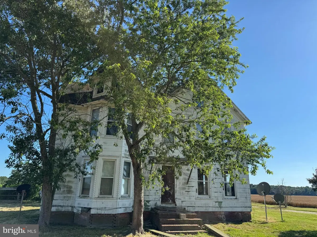 7382 Bullbegger Rd, Oak Hall, VA 23416 - #1
