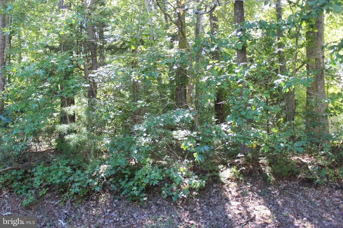 2041 Neptune Ct, Greenbackville, VA 23356 - #1