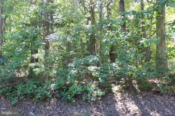 2041 Neptune Ct, GREENBACKVILLE, VA 23356
