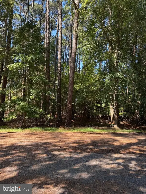 Lot 485 Dry Dock Ct, GREENBACKVILLE, VA 23356