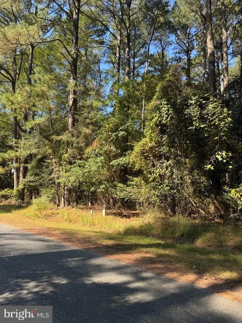 Lot 485 Dry Dock Ct, Greenbackville, VA 23356 - #2