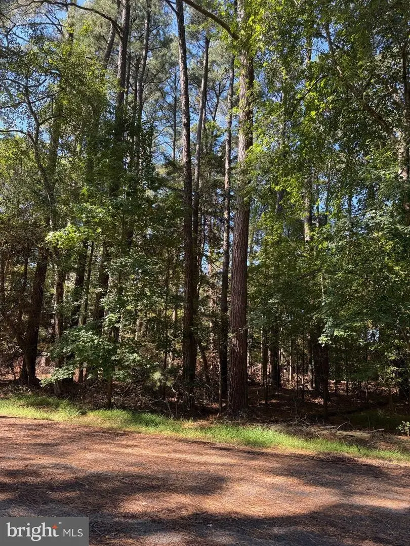 Lot 485 Dry Dock Ct, Greenbackville, VA 23356 - #3