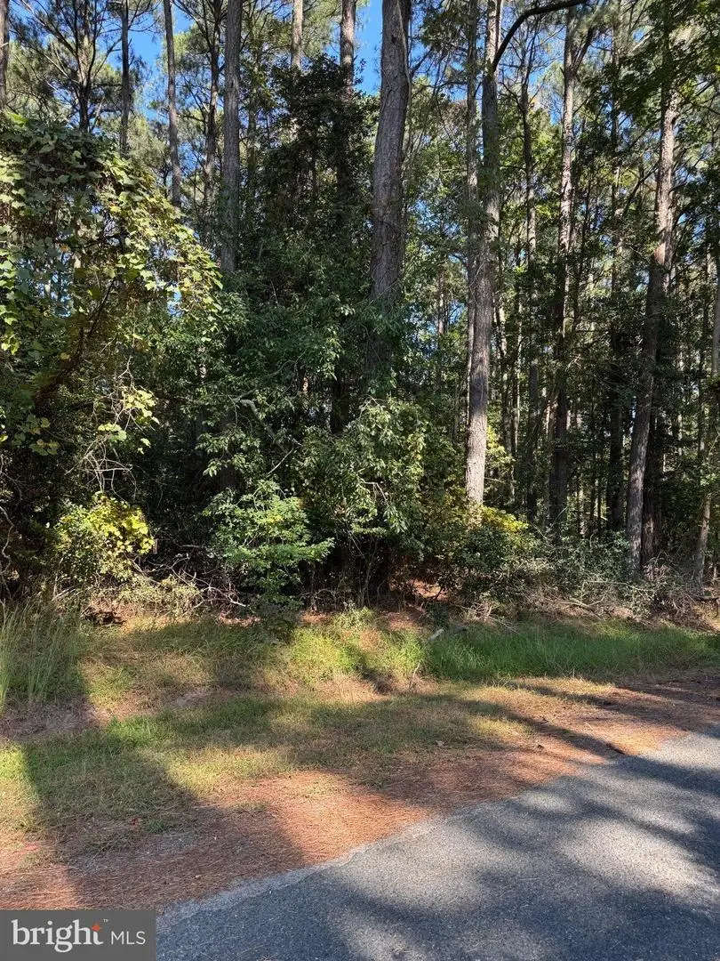 Lot 870 Broadside Dr, Greenbackville, VA 23356 - #1