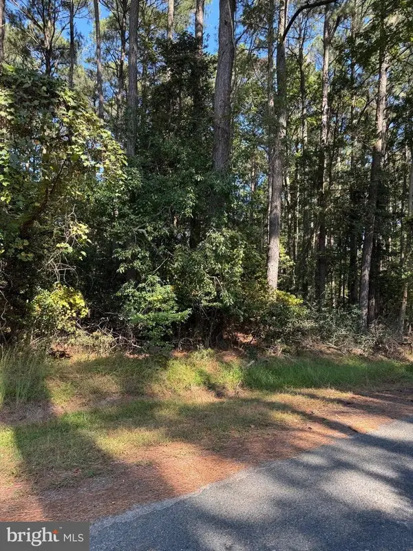 Lot 870 Broadside Dr, GREENBACKVILLE, VA 23356