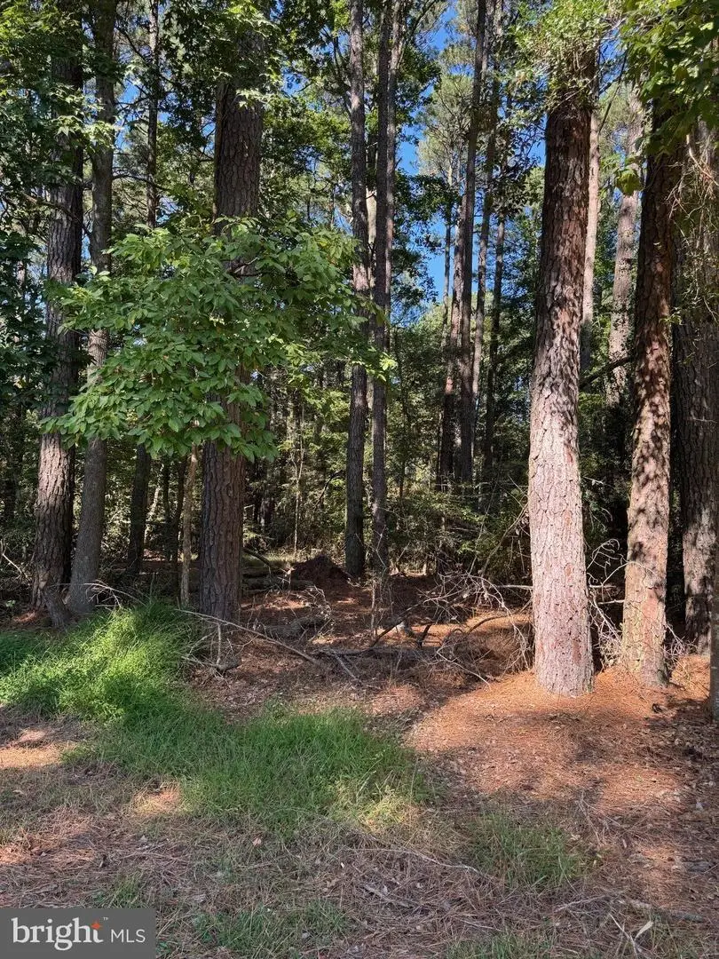 Lot 871 Broadside Dr, Greenbackville, VA 23356 - #1