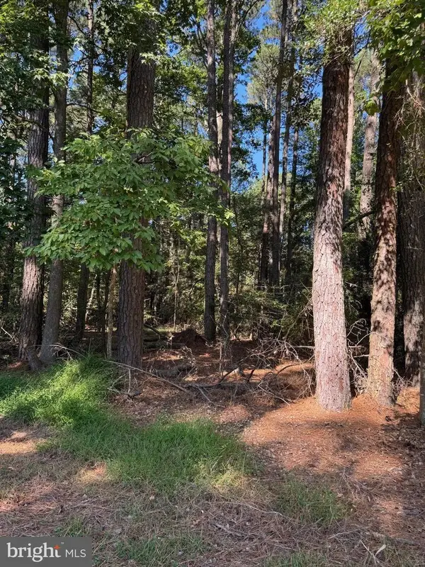 Lot 871 Broadside Dr, GREENBACKVILLE, VA 23356