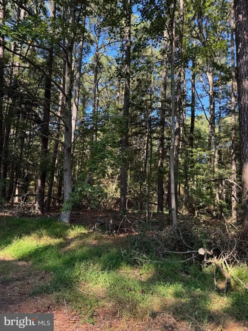 Lot 871 Broadside Dr, Greenbackville, VA 23356 - #2