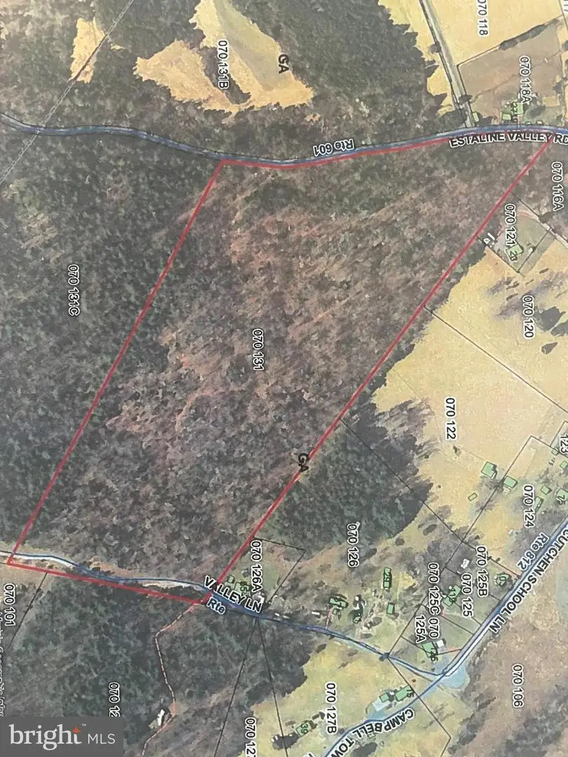 Estaline Valley Rd, Craigsville, VA 24430 - Image #1