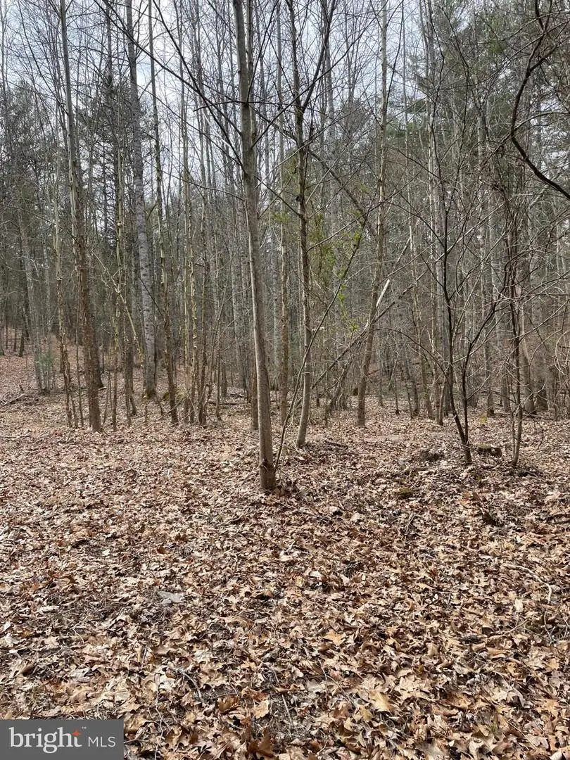 Estaline Valley Rd, Craigsville, VA 24430 - Image #3