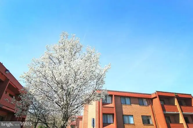 1509 S George Mason Dr #21, Arlington, VA 22204 - #2