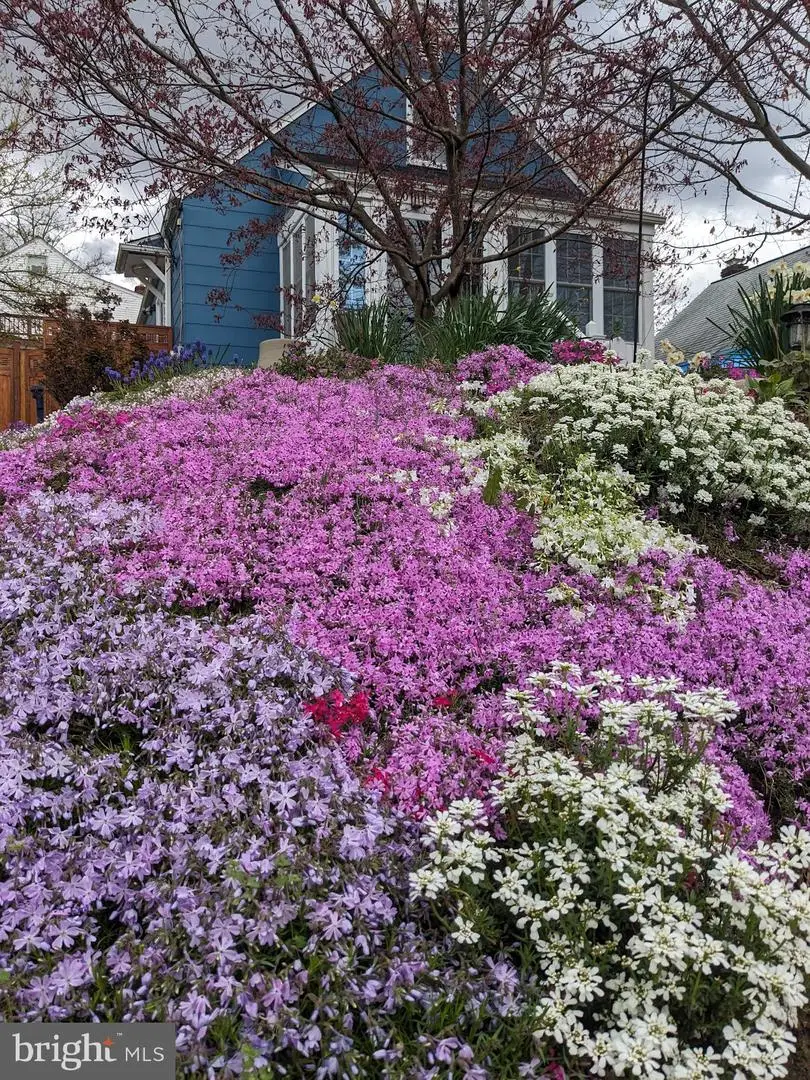 2017 S Randolph St S, Arlington, VA 22204 - #2