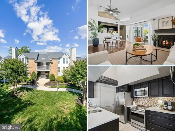 4519-c 28th #4-7, ARLINGTON, VA 22206