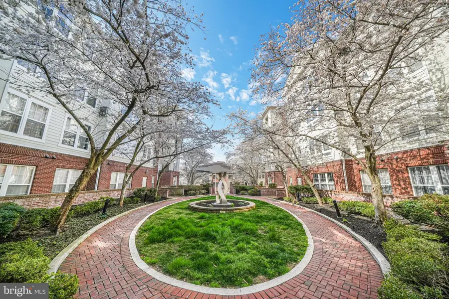 801 S Greenbrier St #113, Arlington, VA 22204 - #3