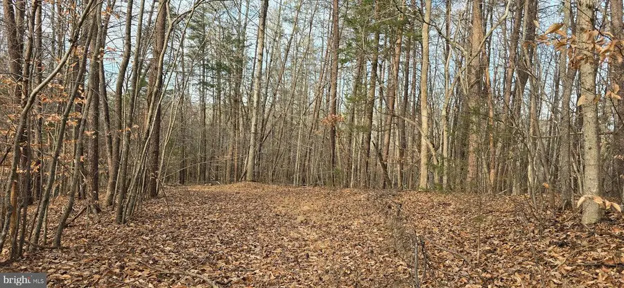 00 Lind Hill Ln, Spout Spring, VA 24593 - #3