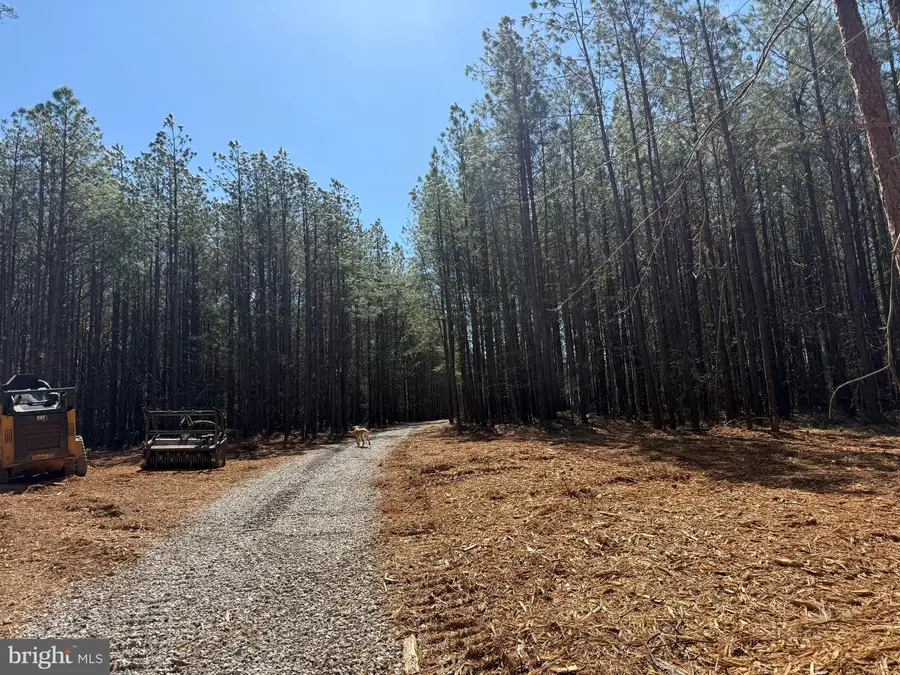 Lot D Mountain Cut Rd, Appomattox, VA 24522 - #2