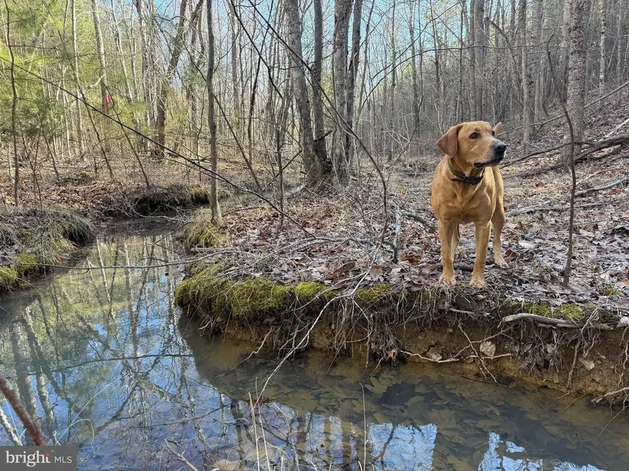 Lot D Mountain Cut Rd, Appomattox, VA 24522 - #3