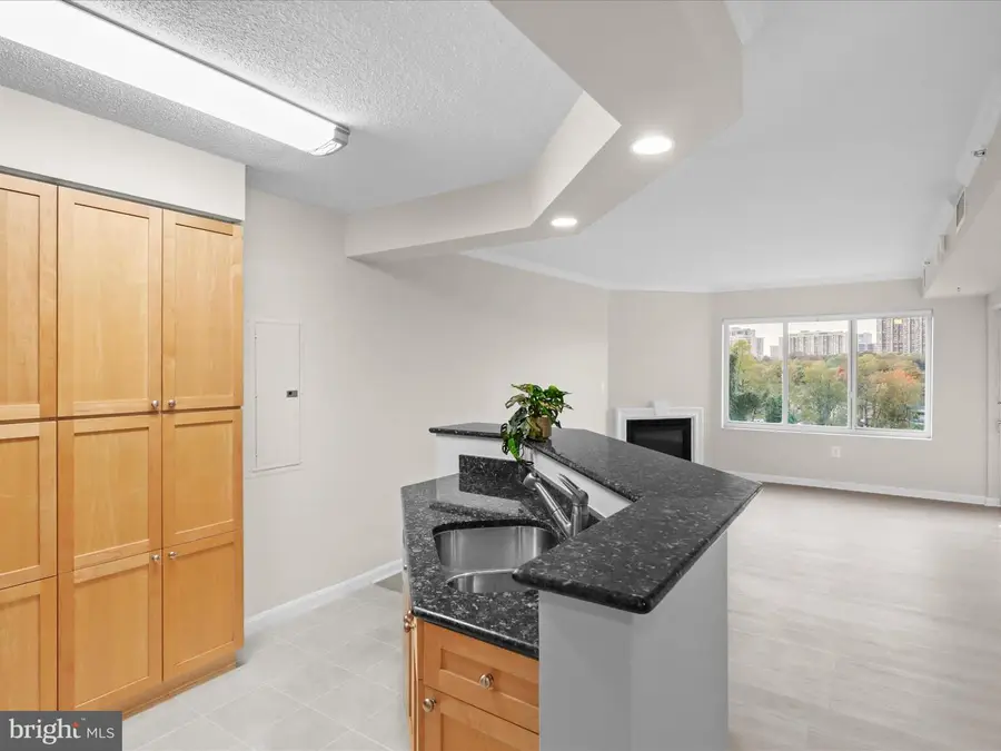 3101 N Hampton Dr #1005, Alexandria, VA 22302 - Image #3