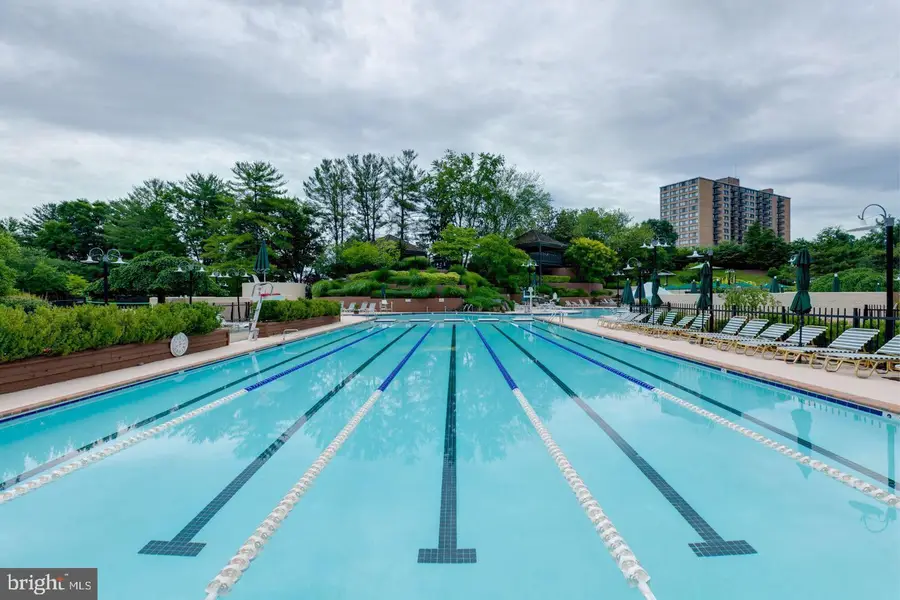 203 Yoakum Pkwy #715, Alexandria, VA 22304 - Image #3