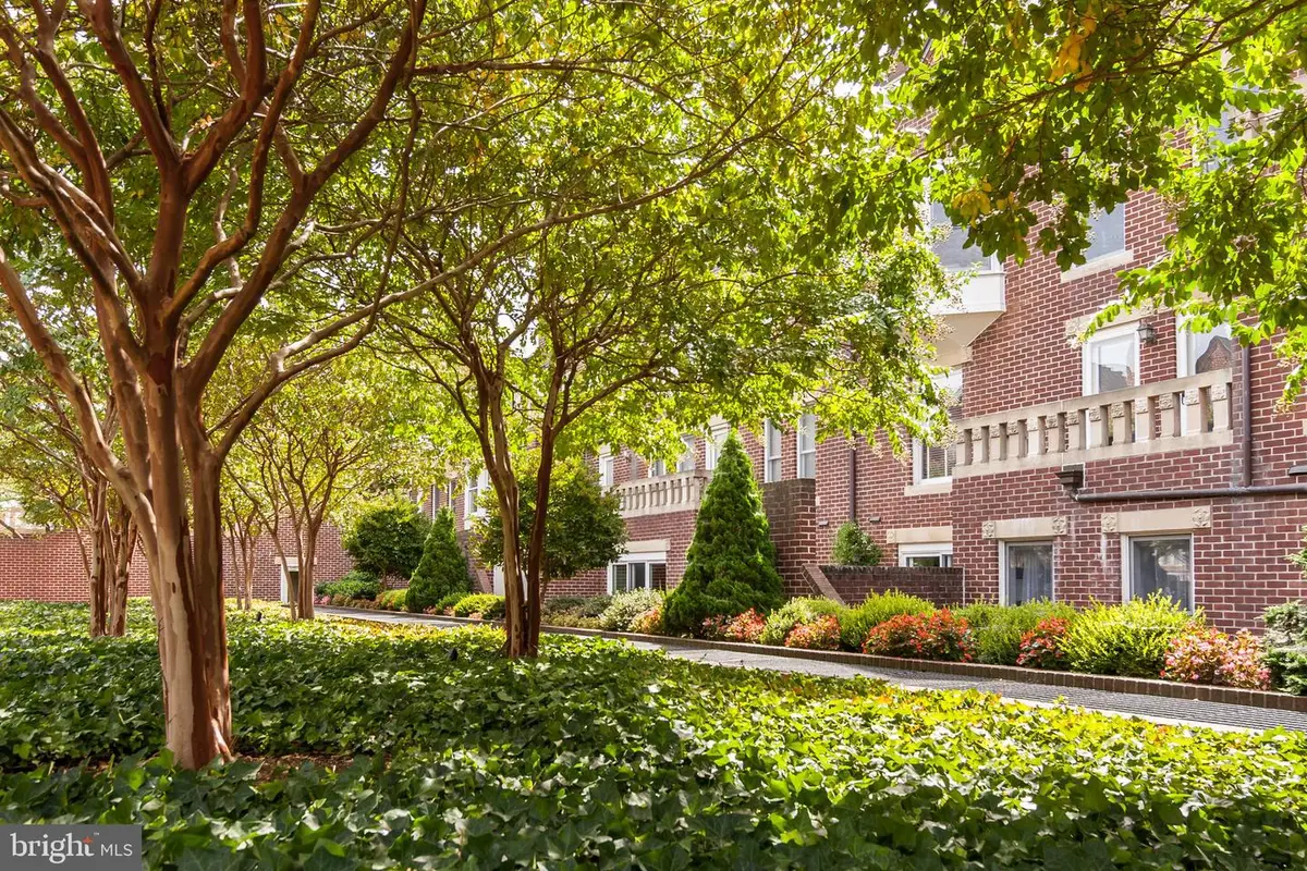 115 N Lee St #bh207, Alexandria, VA 22314 - #1