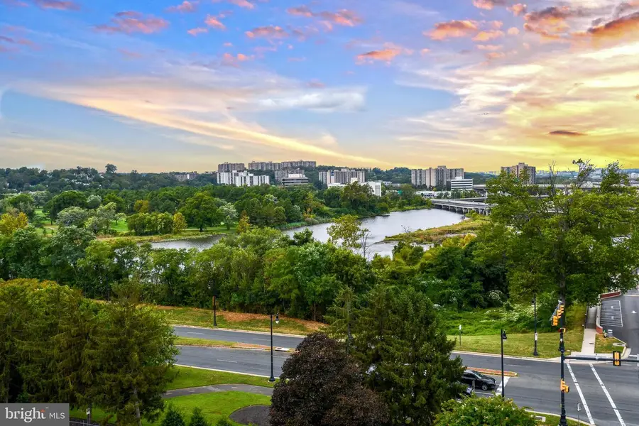 1250 S Washington St #816, Alexandria, VA 22314 - #2