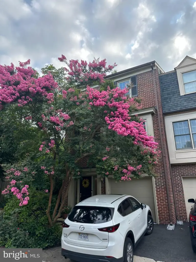 3802 Vermont Ct, Alexandria, VA 22304 - #1