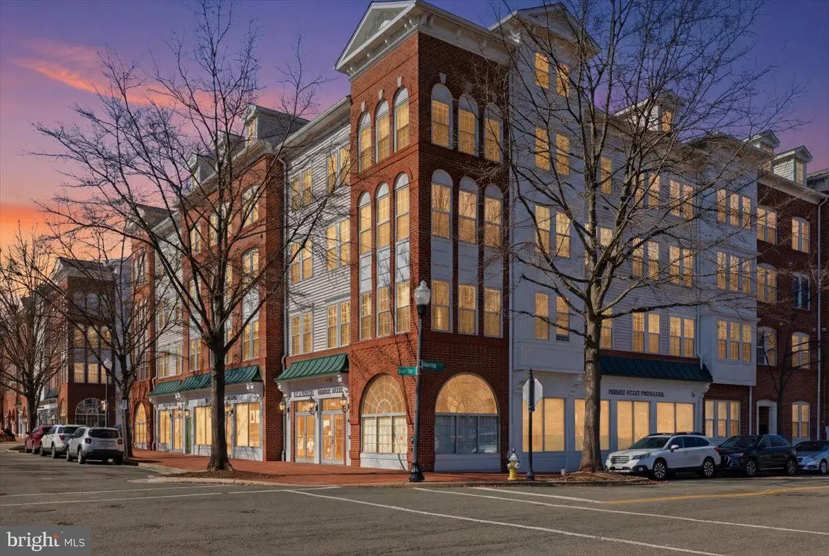 171 Somervelle St #209, Alexandria, VA 22304 - #1