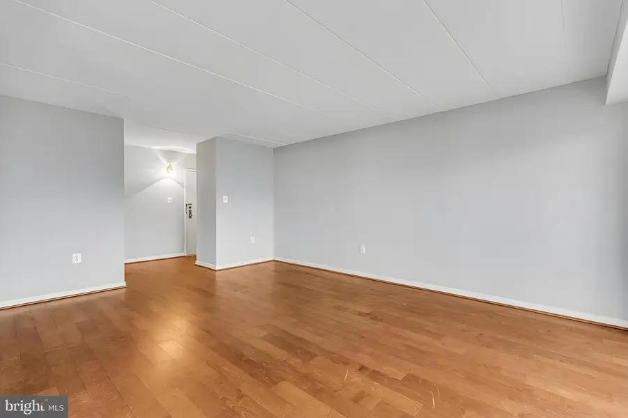 5101 Maris Ave #301, Alexandria, VA 22304 - #2