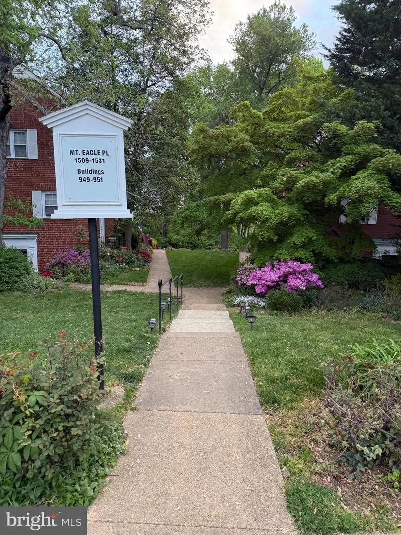 1517 Mount Eagle Pl, Alexandria, VA 22302 - #3