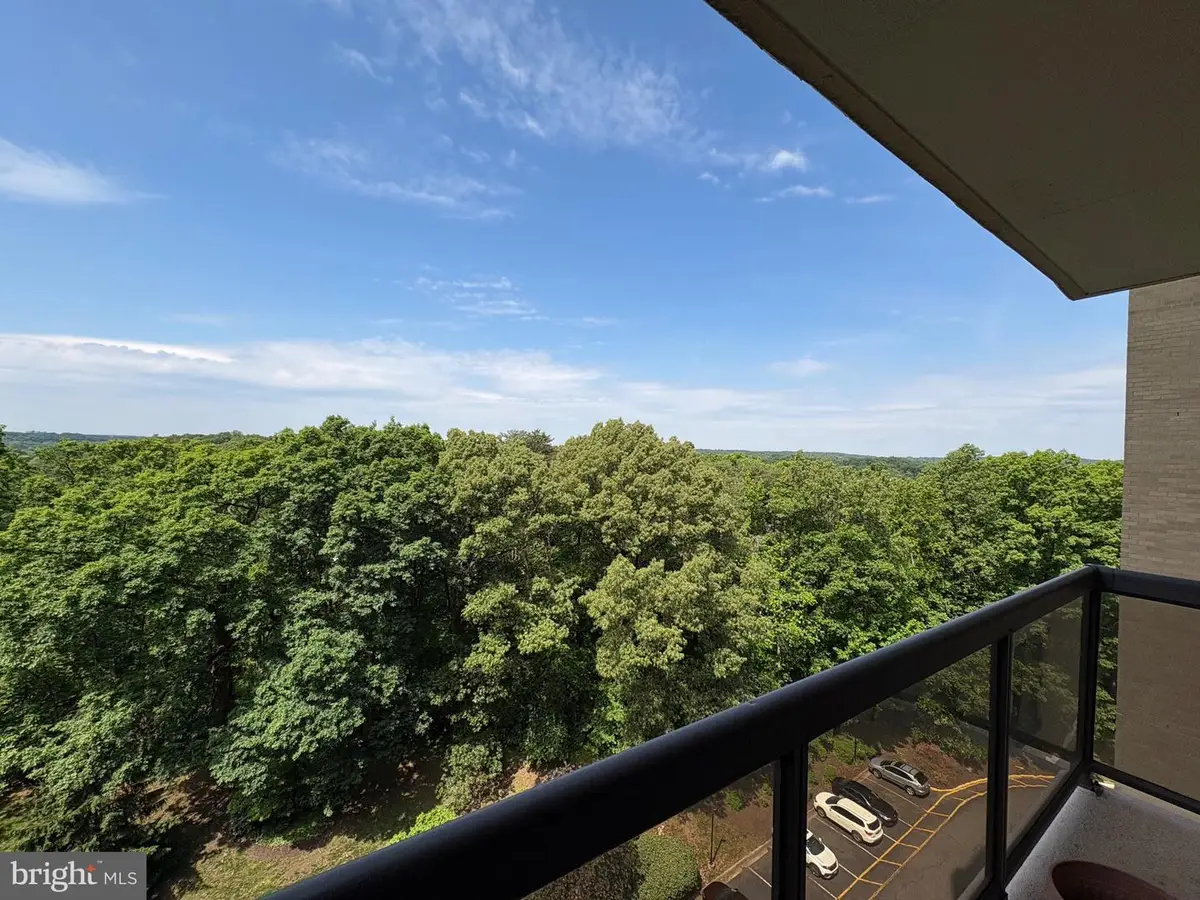 309 Yoakum Pkwy #1105, Alexandria, VA 22304 - #1