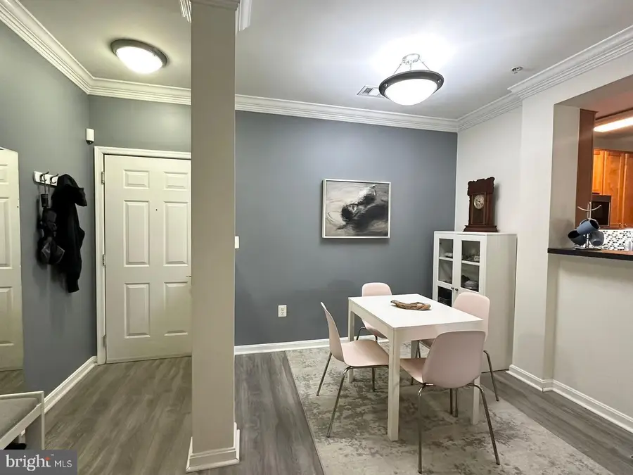 4870 Eisenhower Ave #407, Alexandria, VA 22304 - #3