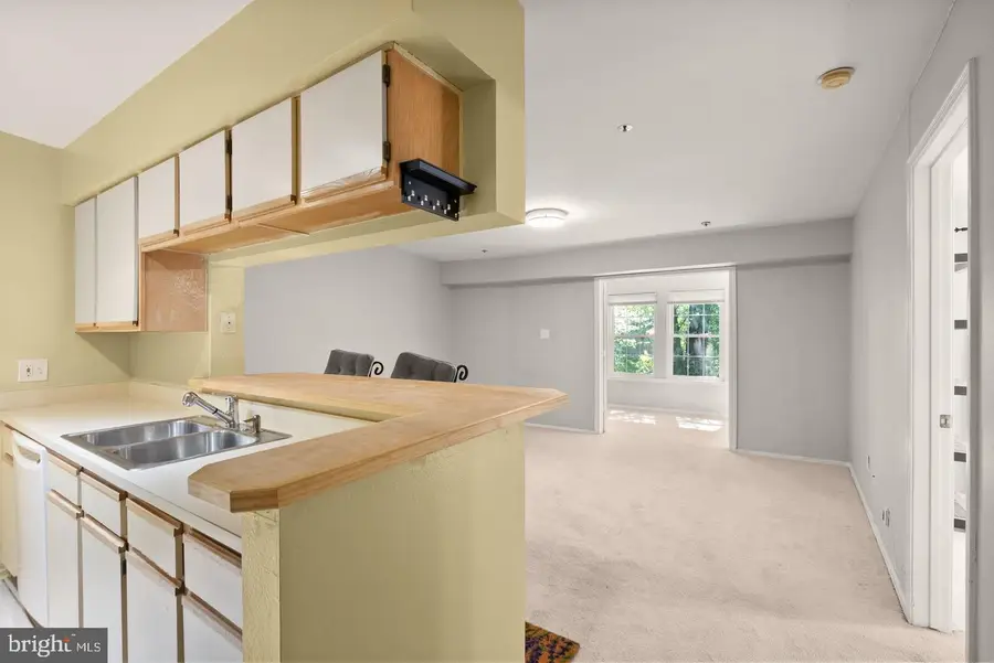 3313 Wyndham Cir #3209, Alexandria, VA 22302 - #2