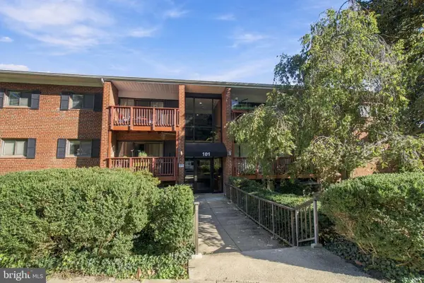 101 Skyhill Rd #303, ALEXANDRIA, VA 22314