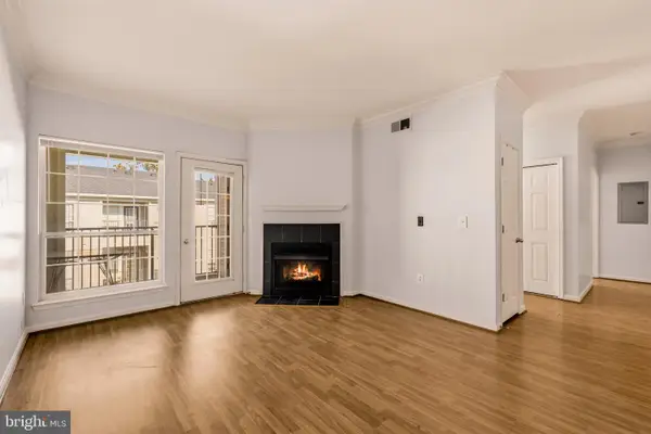 4860 Eisenhower Ave #489, ALEXANDRIA, VA 22304
