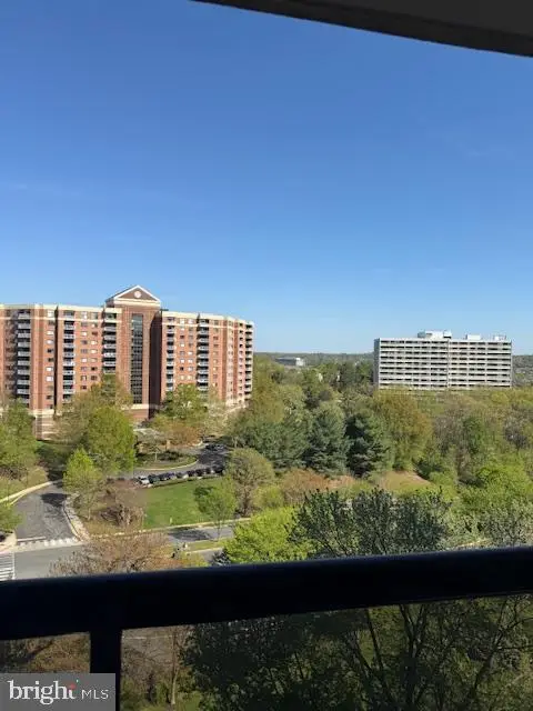 203 Yoakum Pkwy #404, Alexandria, VA 22304 - #3