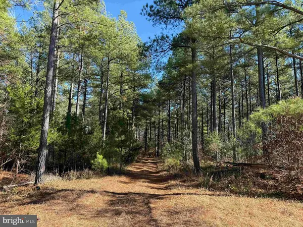 Off Of Diana Mill Road (tract: Tanager Et2 2023, ARVONIA, VA 23004