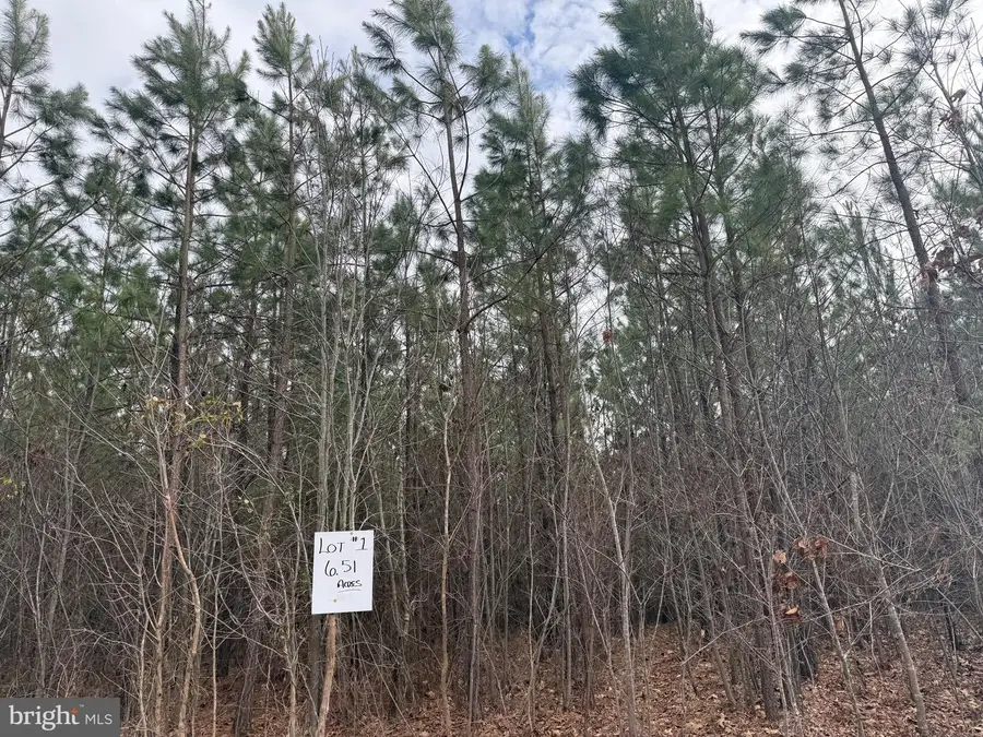 Lot 1 Hardware Rd, Arvonia, VA 23004 - Image #3