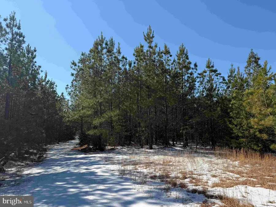 State Hwy. 15 (tract: Tonguequarter), Dillwyn, VA 23936 - #2