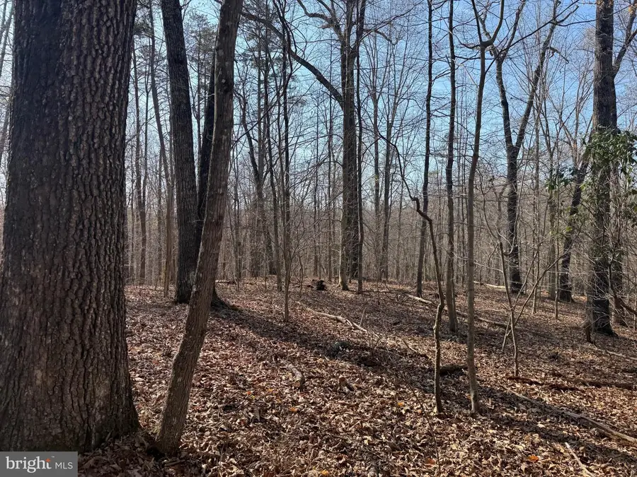 0 Paynes Pond Rd, Arvonia, VA 23004 - #3