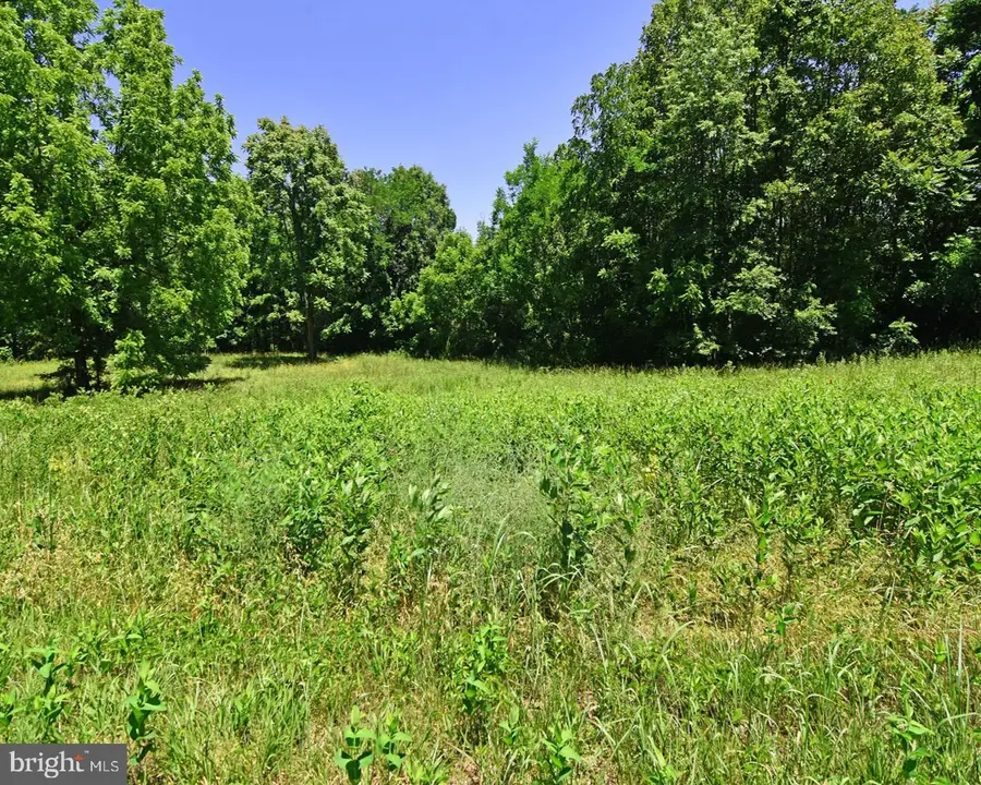 3897 Gravel Hill Rd, Dillwyn, VA 23936 - #2
