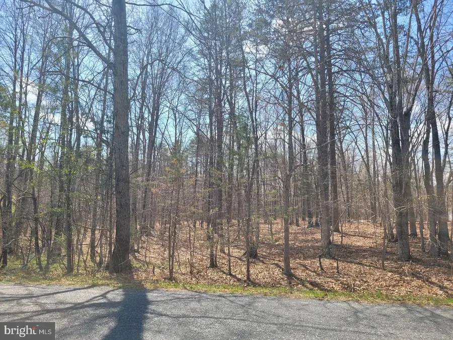 Texas School Rd, Buckingham, VA 23921 - #3